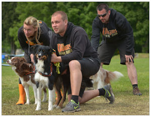 border collie speedy dream